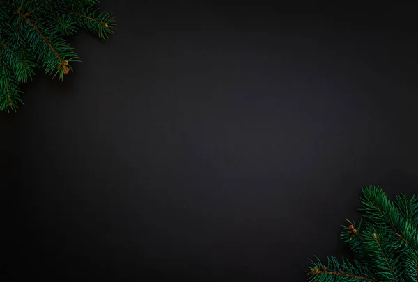 Ramură Copac Fundal Întunecat Folosit Pentru Decorarea Crăciunului Crăciun Iarnă — Fotografie, imagine de stoc