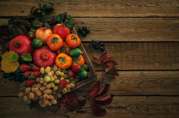 Φθινοπωρινά Φρούτα Φθινόπωρο Φόντο Φθινοπωρινά Φύλλα Κόκκινα Μήλα Και Σταφύλια — Φωτογραφία Αρχείου