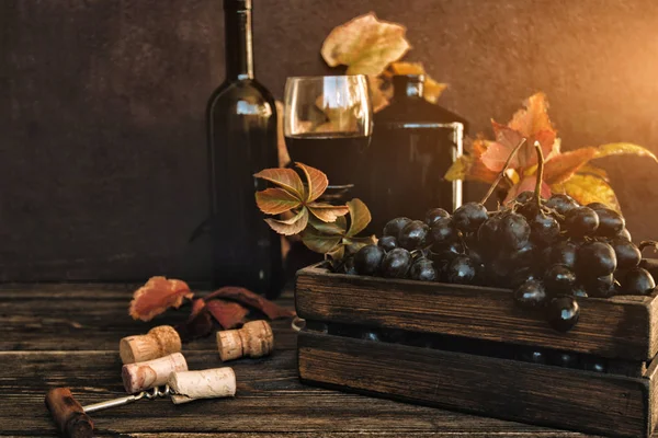 Weinverkostung Rustikalen Keller Oder Der Weinbar Rotweinglas Und Sammlung Von — Stockfoto