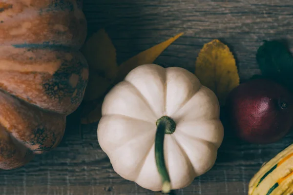 Ekologisk Mat Höst Pumpa Ett Mörkt Rustikt Träbord Hälsosam Vegetarisk — Stockfoto