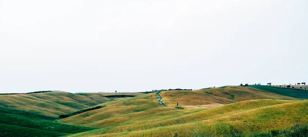 Einzigartige Landschaft Der Toskana Sommer Wellige Hügel Zypressen Und Dämmerlicht — Stockfoto