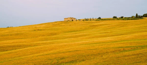 Uniek Landschap Zomer Golvende Heuvels Cipressen Bomen Prachtige Kleuren Van — Stockfoto