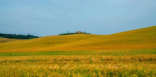 Krásná Krajina Farmou Jedno Nejznámějších Míst Toskánsku Itálie Evropa Cestovní — Stock fotografie