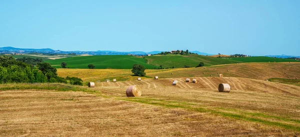 Sunny Fields Tuscany Italy — Stock Photo, Image