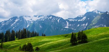 İlkbaharda güneşli bir günde yemyeşil çayırlar açan Alpler 'in panoramik manzarası. İsviçre Alpleri, Avrupa. Güzellik dünyası.