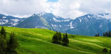 Kar ve buzullarla dolu keskin Alp zirveleri bahar çayırlarının üzerinde süzülür narin kokulu bahar çiçekleri..