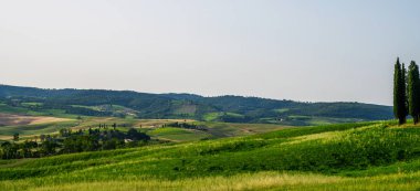 Toskana kırsal günbatımı manzarası. Köy çiftliği, selvi ağaçları, yeşil alan, güneş ışığı ve bulut. İtalya, Avrupa. Gürültü ve tahılla klasik ton filtre efekti.