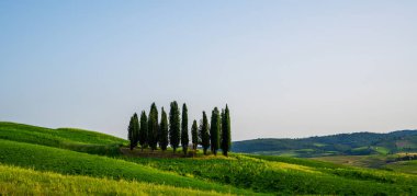 Tuscany rural günbatımı manzara. Kırsal çiftlik, selvi ağaçları, yeşil alan, güneş ışığı ve bulut. İtalya, Europe.