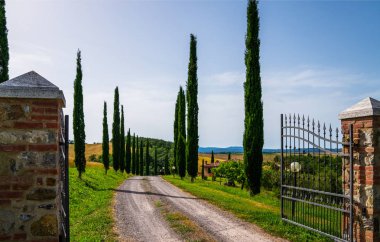 İtalya 'nın Toskana kentindeki Siena kasabası yakınlarında selvi ve kırsal bir yol manzarası.