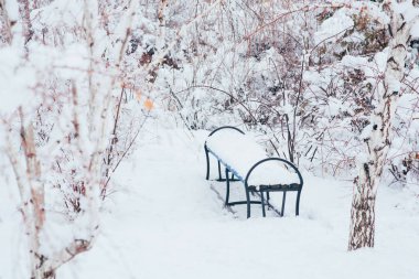Kış parkı manzarası. Kar kenti parkında kış.