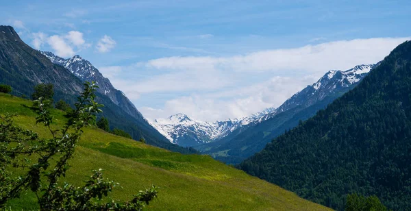 牧草地や雪と牧歌的なスイスの高山の山々の風景の美しい景色は 春の青空と美しい晴れた日に山の峰をかぶった 美の世界 — ストック写真