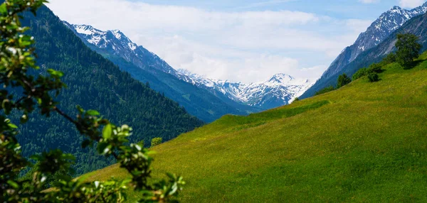 Чудовий Краєвид Ідилічні Швейцарські Альпійські Гори Луками Засніженими Вершинами Гір — стокове фото
