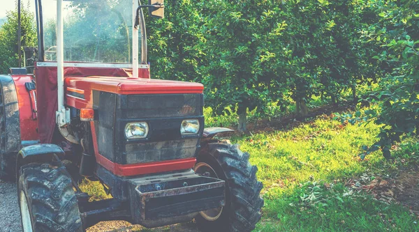 Traktor Gyümölcsösben Organikus Almáskert Sarca Völgyben Olasz Alpokban Trentino Alto — Stock Fotó