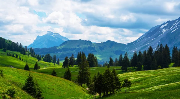 Idyllische Alpine Landschap Met Frisse Groene Weiden Bloeiende Bloemen Besneeuwde — Stockfoto
