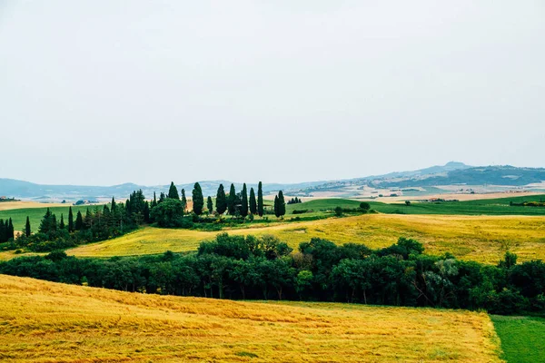 Uitzicht Een Herfstdag Het Italiaanse Landelijke Landschap Unieke Zonsondergang Toscane — Stockfoto