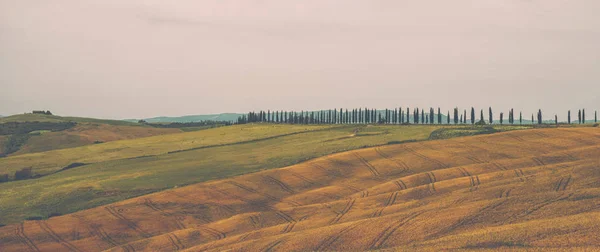 Blick Auf Einen Herbsttag Der Ländlichen Landschaft Italiens Einzigartige Landschaft — Stockfoto