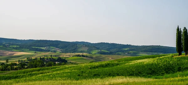 Toscana Landsbygd Solnedgång Landskap Landsbygdsgård Cypresser Grönt Fält Solljus Och — Stockfoto