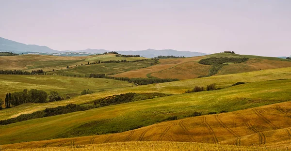 Uitzicht Een Herfstdag Het Italiaanse Landelijke Landschap Unieke Zonsondergang Toscane — Stockfoto