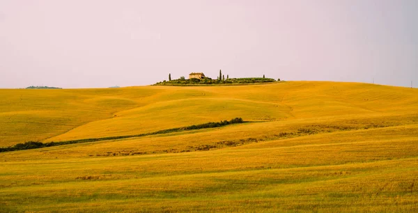 아름다운 풍경입니다 황금빛 토스카나 이탈리아 스러운 필터는 곡식에 영향을 미친다 — 스톡 사진