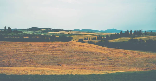 Traditionell Landsbygd Och Landskap Vackra Toscana Fält Gyllene Färger Och — Stockfoto