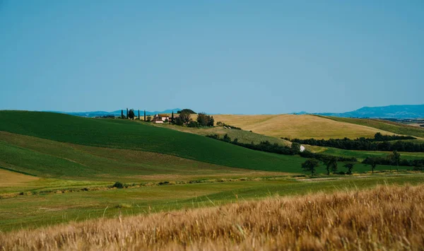 Bellissimo Paesaggio Primaverile Toscana Villaggio Toscano Mattinata Vintage Effetto Filtro — Foto Stock