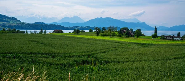 Švýcarská Vesnice Idylický Letní Krajina Švýcarsku Čerstvými Zelenými Poli Mraky — Stock fotografie