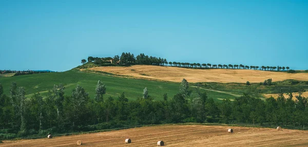 Toscana Paisaje Atardecer Rural Finca Rural Cipreses Campo Verde Luz — Foto de Stock