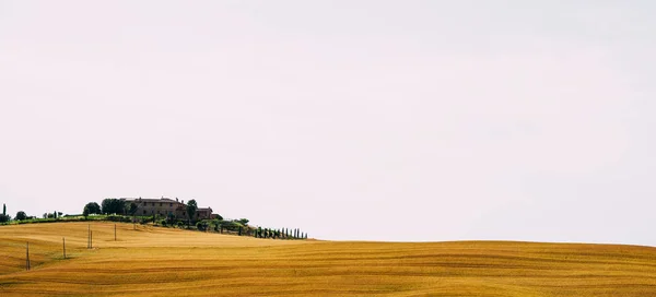 Bellissimo Paesaggio Toscana Italia Campi Soleggiati Superficie Agricola Con Campi — Foto Stock
