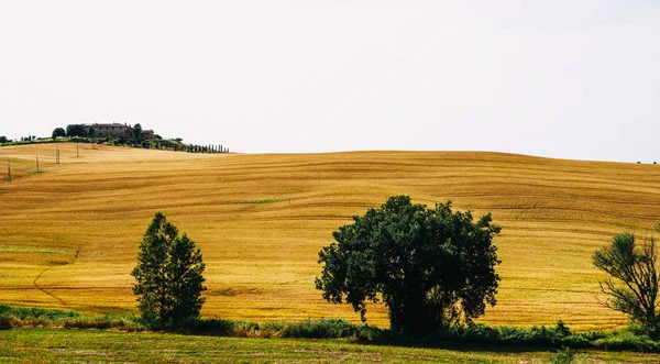 이탈리아 토스카나의 아름다운 — 스톡 사진