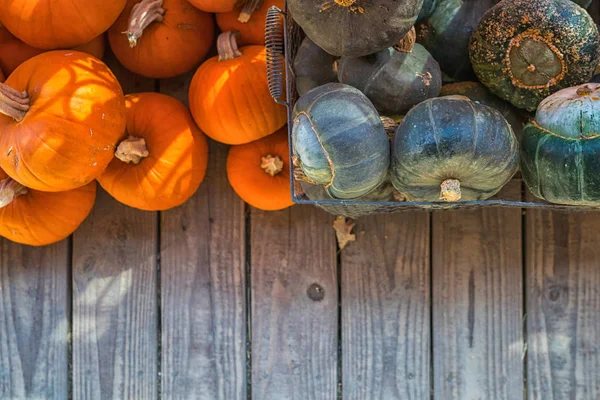 Orange Halloween Pumpor Träbrädor Semester Dekoration — Stockfoto