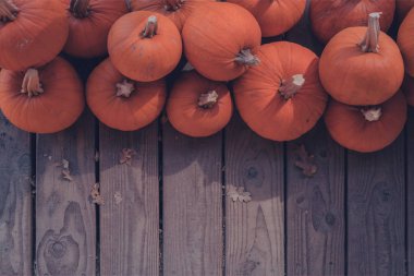 Sonbahar kabak Şükran günü arka plan. Ahşap masa üzerinde turuncu kabak.