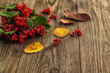 Sonbahar arka planı. Rustik ahşap tahta üzerinde sonbahar kırmızı ve sarı yaprakları ve çilek.