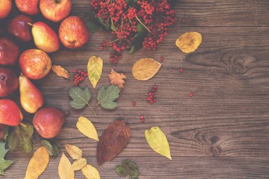 Sonbahar arkaplanı sarı yapraklar, kırmızı elmalar ve kırmızı böğürtlenler. Sonbahar hasadının kopyalanmış ahşap üzerindeki çerçevesi. Mevsimlik teklifler ve tatil kartpostalları için model, üst görünüm.