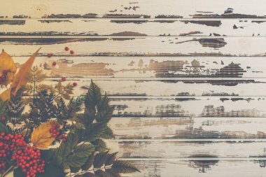 Sonbahar arka planı. Rustik ahşap tahta üzerinde kırmızı ve sarı yaprakları ve çilek sonbahar. Üst görünüm, kopyalama alanı.