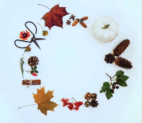 Wreath made of pumpkin, autumn berries, dried leaves, acorn, pine cones, anise staron pastel background. Autumn concept. Flat lay, top view, copy space. Toned image. Vintage style. Autumn background.