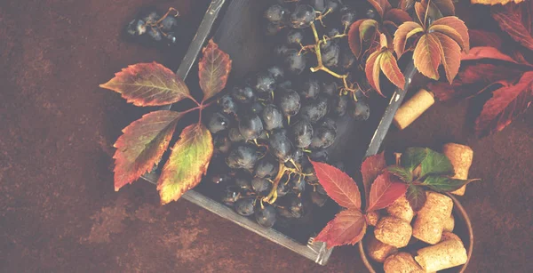 Bando Uvas Tábua Rústica Com Folhas Outono Para Comida Vegetariana — Fotografia de Stock