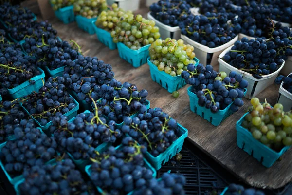 Local produce at the autumn farmers market in the city. Pint baskets of organic grapes on the counter. Market stall with organic fruits. Local produce at the autumn market in the city.