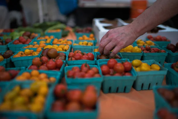Свіжі Органічні Овочі Ринку Фермерів Люди Купують Місцеві Овочі Ферми — стокове фото