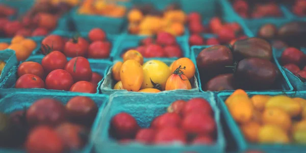 농부의 시장에서 카운터에 유기농 토마토의 파인트 바구니 농산물 시장에서 판매되는 — 스톡 사진