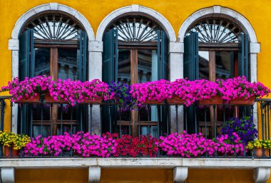 Venedik, İtalya 'da eski bir bina. Dekoratif pencereli ve saksılı sarı duvar. Güzel, eski mimarisi olan bir bina. Seyahat ilhamı.