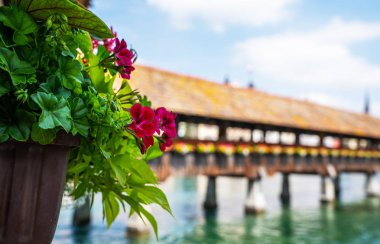 İsviçre, Lucerne 'deki Eski Şehir ortaçağ mimarisinin manzaralı yaz manzarası. Lucerne 'nin güzel tarihi şehir merkezi manzarası ünlü Chapel Köprüsü ve Lucerne Gölü.