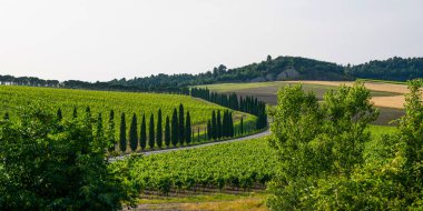 Tipik Toskana kırsalının görkemli manzarası. Güzel tepeler, tarlalar ve kırsal yol. İtalya, Avrupa.