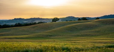 Toskana, kırsal alan. Yuvarlanan tepeler, taşra çiftliği, selvi ağaçları, sıcak günbatımında yeşil alan. İtalya, Avrupa.