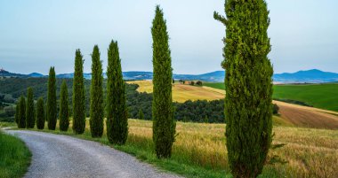 Tipik Toskana kırsalının görkemli manzarası. Güzel tepeler, tarlalar ve kırsal yol. İtalya, Avrupa.