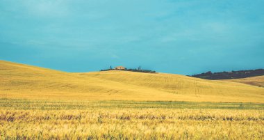 Bulutlu bir gün ışığında, çiftlik eviyle altın tarla. Toskana 'da Altın Sonbahar. Avrupa 'nın güzel yeri. Tatil gezisi, açık hava tatili. Gürültü ve tahılla klasik ton filtre efekti.
