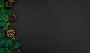 Noel süslemeleri için kullanılan koyu arkaplanda ağaç dalı ve çam kozalağı. Noel, kış, doğa Yeni Yıl konsepti.