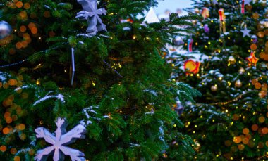 Noel süslemelerinin çiçek dalları. Noel, kış, yeni yıl konsepti. Boşluğu kopyala.