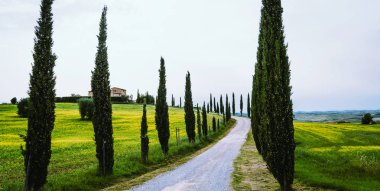 Toskana köyünün manzarası güneşli bir günde, İtalya 'da. Güzel yeşil tepeler ve kırsal yol. Tarlaları ve selvi tarlaları olan tarım alanı.