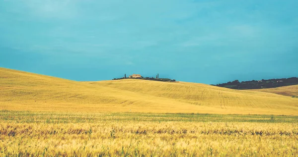 Gouden Veld Het Bewolkte Daglicht Met Boerderij Gouden Herfst Toscane — Stockfoto