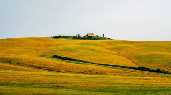 아름다운 이탈리아 토스카나 컨셉트 스러운 필터는 곡식에 영향을 미친다 — 스톡 사진